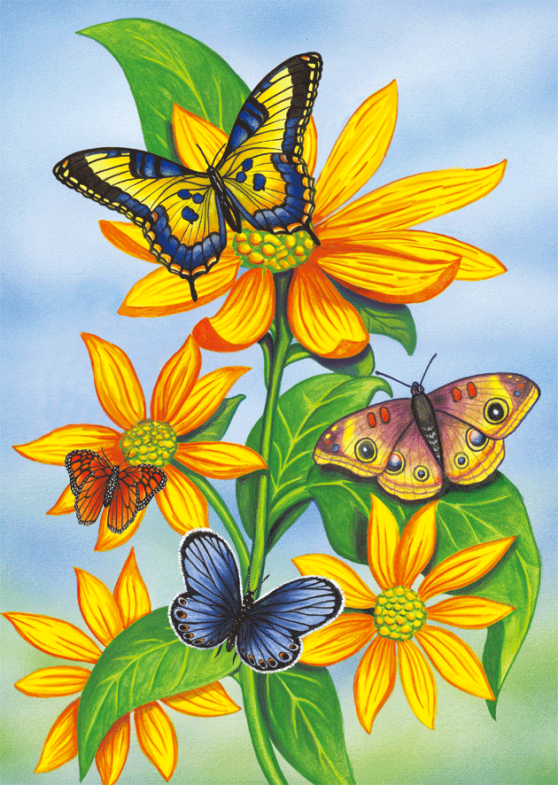 Butterfly  Animation Lenticular Card